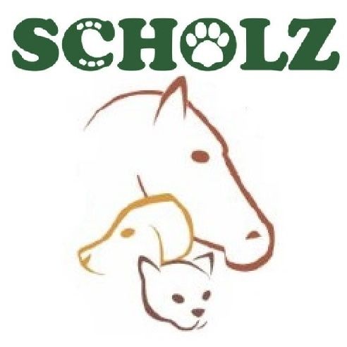 Einladung zum Inhalationstag